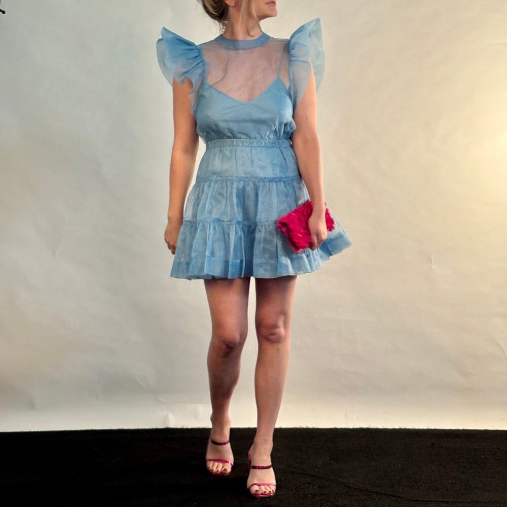 Blue Sheer Jonathan Simkhai A-Line Dress Size 4